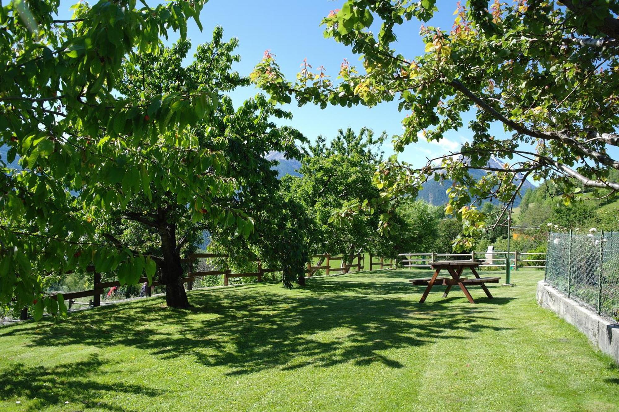 Le Vieux Noyer - Appartamenti Al Verde Villaggio Di Rumiod Saint-Pierre Exteriör bild