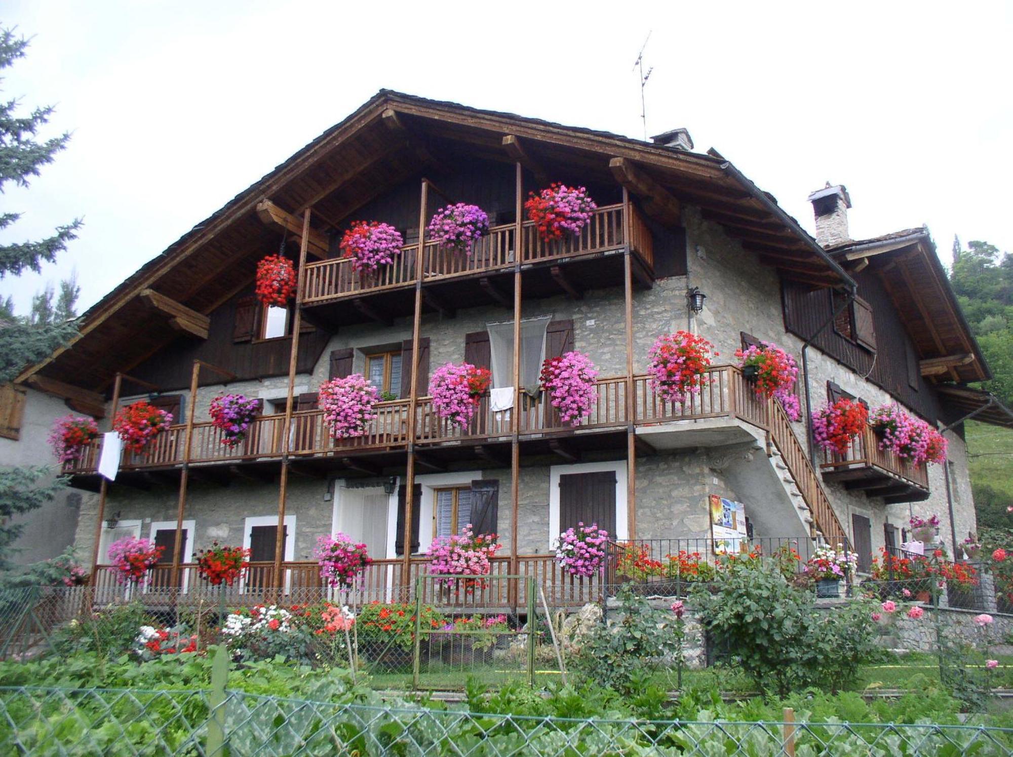 Le Vieux Noyer - Appartamenti Al Verde Villaggio Di Rumiod Saint-Pierre Exteriör bild